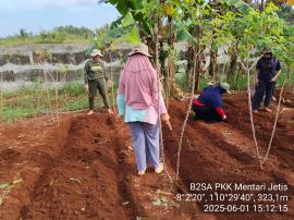 Tim Penggerak PKK Kalurahan Jetis Lakukan Penyiapan Lahan Demplot Sayuran dan Kolam Lele
