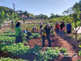 PKK Kalurahan Jetis Gelar Panen Raya Sawi dan Kangkung dari Program B2SA
